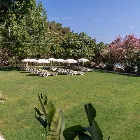 Aparthotel Alesta Midtown