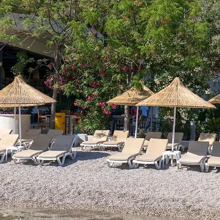 Apart Otel Alesta Midtown Fethiye