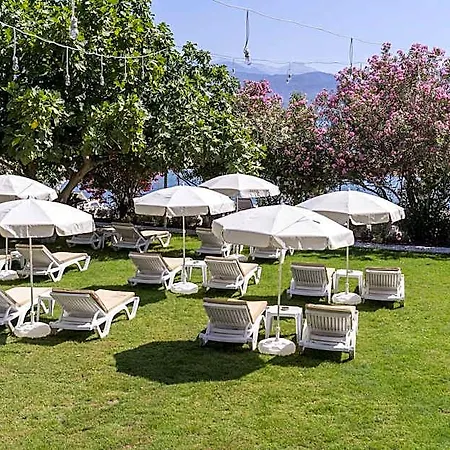 Alesta Midtown 4* Фетхие